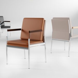 เก้าอี้สำหรับตกแต่งบ้าน - Home Decorating Chair IX