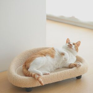 เตียงนอนแมว - Decorating Cat Bed