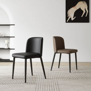 เก้าอี้สำหรับตกแต่งบ้าน - Classic Diningroom Chair I