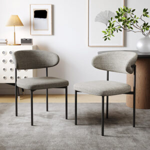 เก้าอี้สำหรับตกแต่งบ้าน - Modern Dining Chair