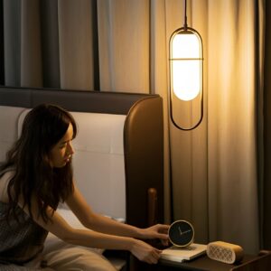 โคมไฟแต่งบ้านติดเพดาน - Mono Lantern Pendant
