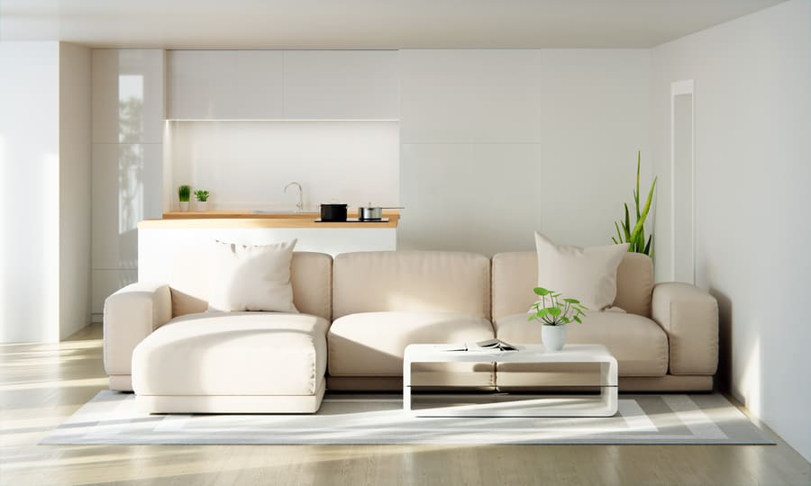 minimal condominium decoration